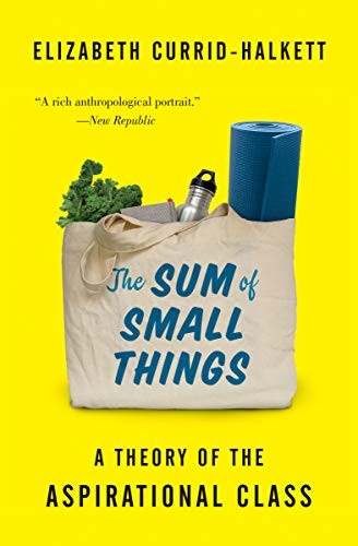 The Sum of Small Things: A Theory of the Aspirational Class by Elizabeth Currid-Halkett, finished on Jan 18, 2020